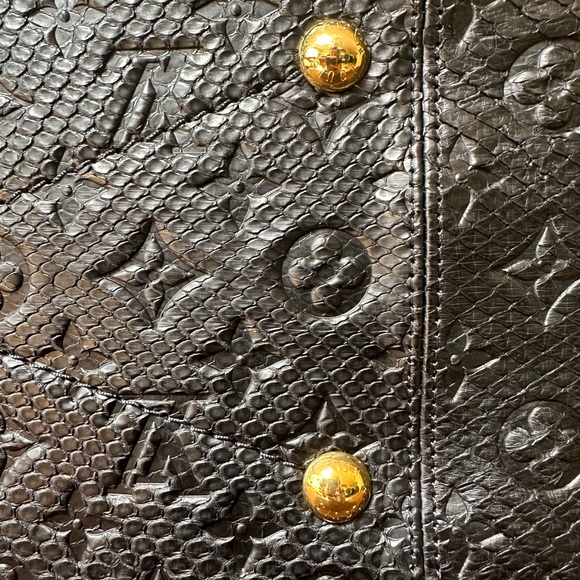 Louis Vuitton Python Artsy - Picture 3 of 15